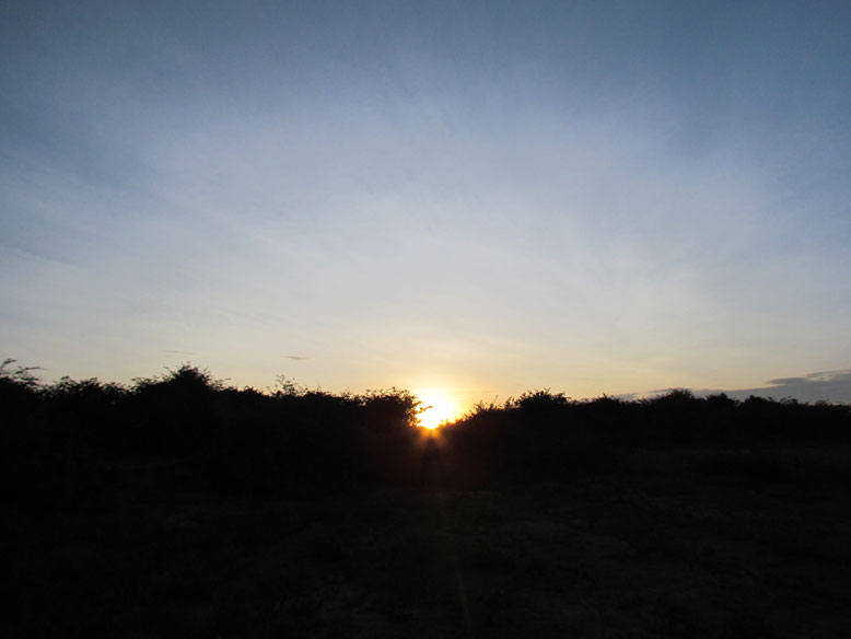 atardecer en Africa